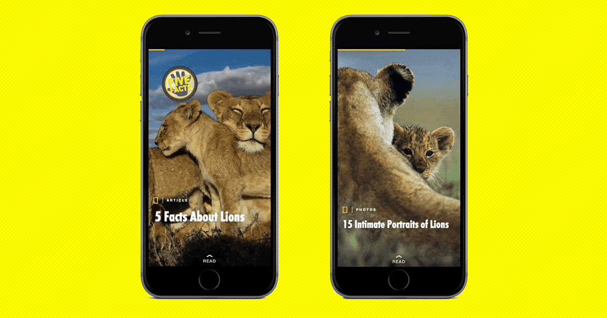 National Geographic created a story for its Snapchat Discover channel for World Lions Day in August, 2015