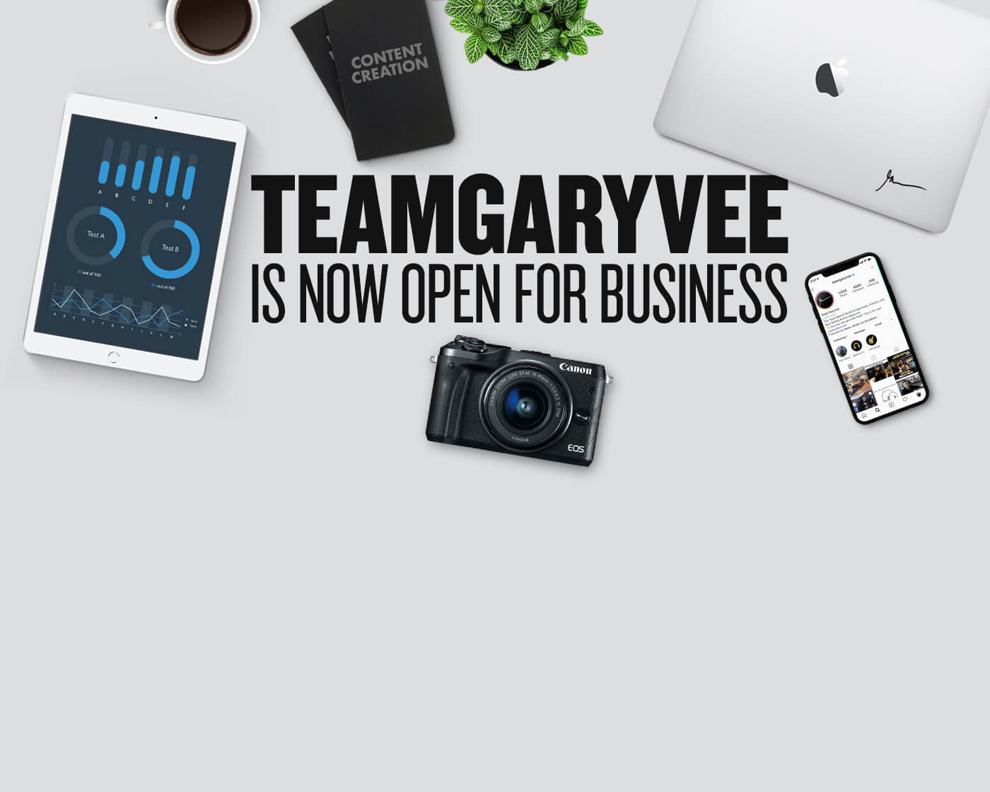Team GaryVee Is Open For Consulting